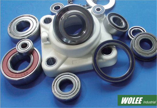 Stainless Steel Bearing